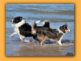JayJay und Jayla (10).jpg